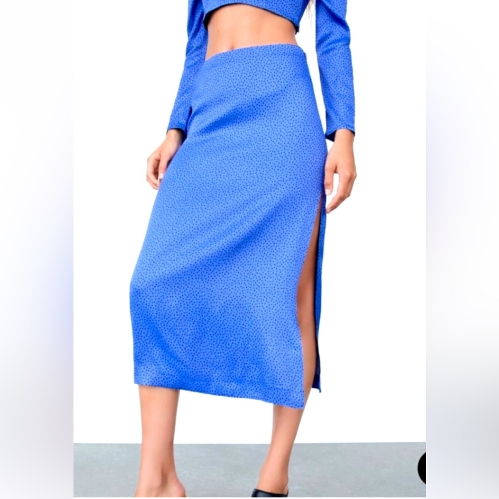NWT Zara polka dot midi skirt